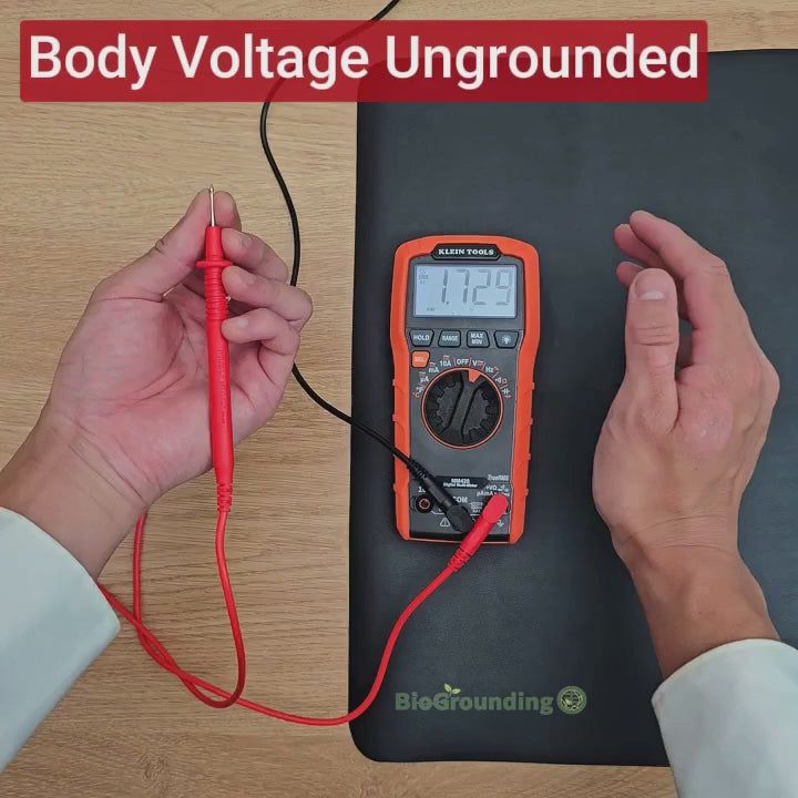 Charger la vidéo : 